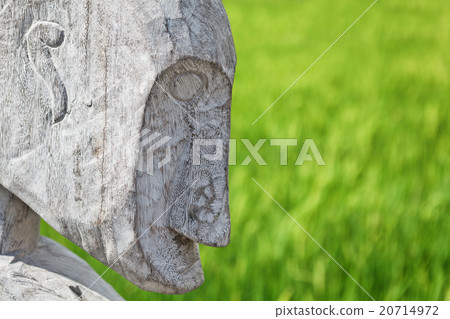 Wood carved man face profile Wood carved man face profile 20714972
