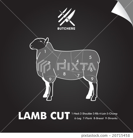 Simply meat cut diagram 20715458