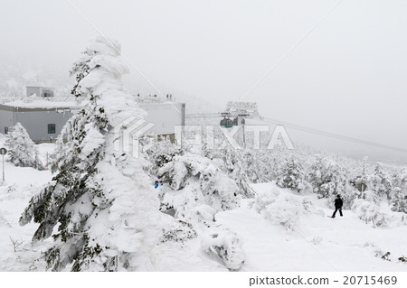 Zao Jizo mountaintop station 20715469