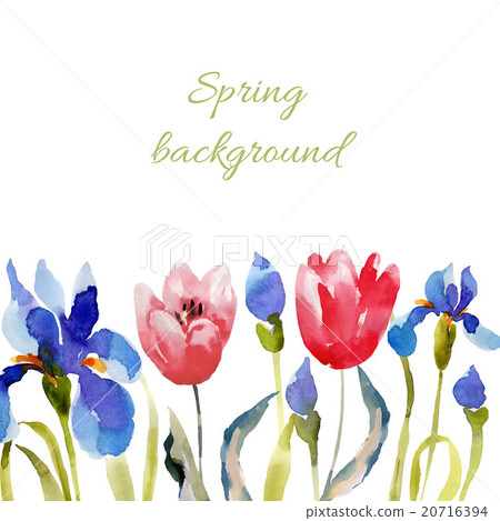 Spring background. Watercolor lowers. Spring background. Watercolor lowers. 20716394