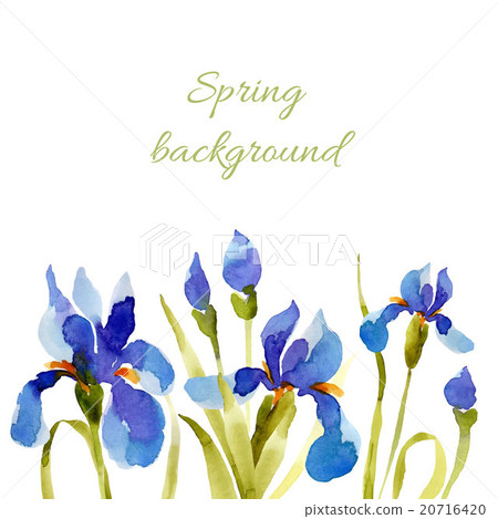 Spring background. Watercolor lowers. Spring background. Watercolor lowers. 20716420