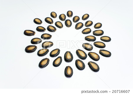Watermelon seeds on white background 20716607