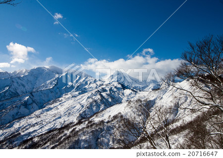 Yakiyama和山 Yakiyama和山 20716647