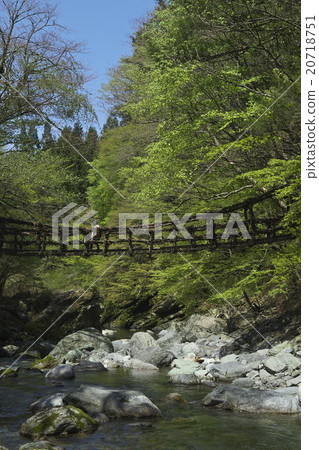 Oku Iya Double Kazura Bridge 20718751