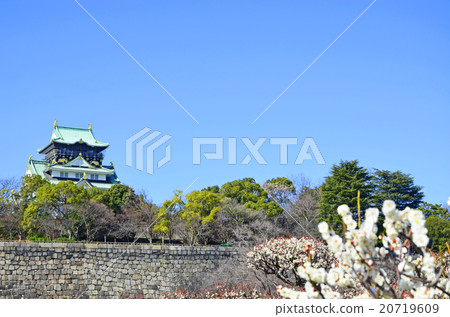 大阪城公園在早春 大阪城公園在早春 20719609