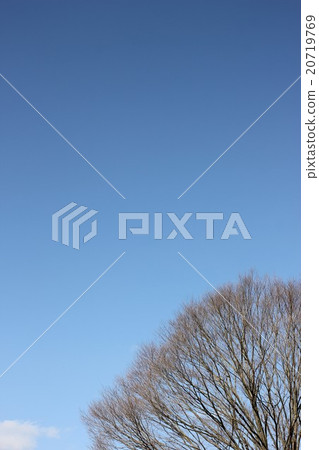 早春的藍天02 早春的藍天02 20719769