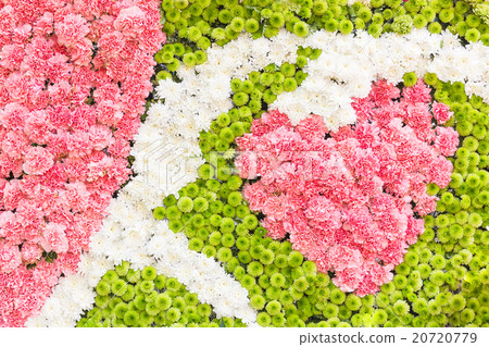 Multi-coloured of flower Multi-coloured of flower 20720779