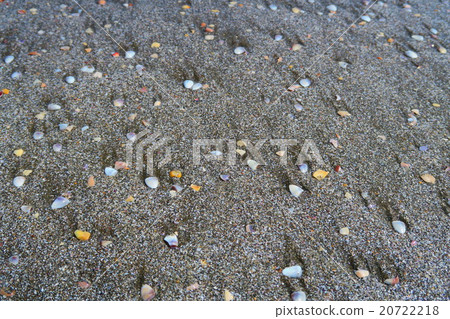 Kujukurihama沙灘水母 20722218