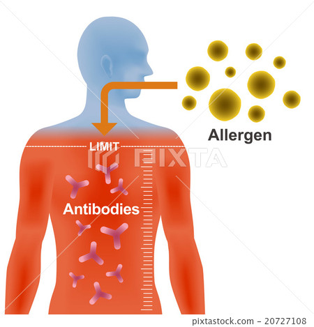 過敏發展的機制 20727108