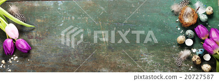 Easter composition with tulips and nest 20727587