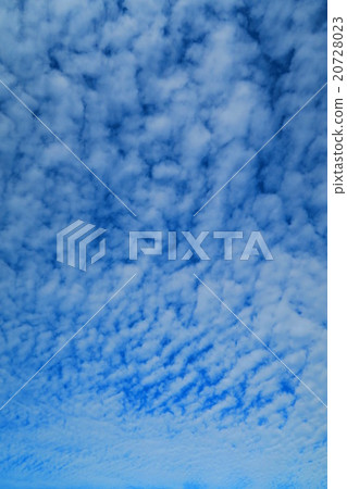 秋天的綿羊雲 秋天的綿羊雲 20728023