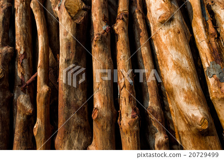 Pile of wood logs ready for winter Pile of wood logs ready for winter 20729499