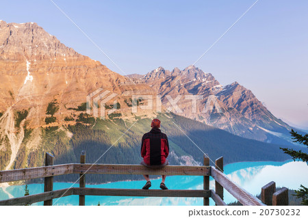 Peyto lake Peyto lake 20730232