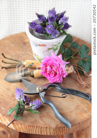 園藝雜貨和玫瑰 園藝雜貨和玫瑰 20730542