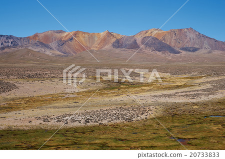 Altiplano 20733833