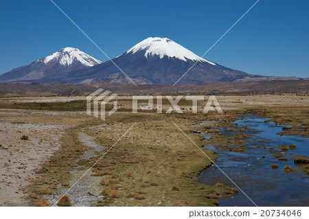 Volcanoes on the Altiplano 20734046