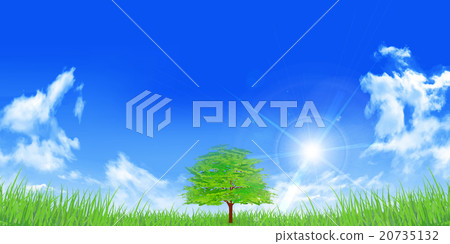 Sky tree landscape background Sky tree landscape background 20735132