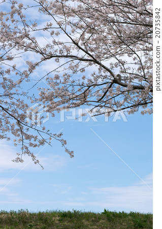 新年3 新年3 20735842