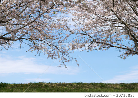 新年5 新年5 20735855