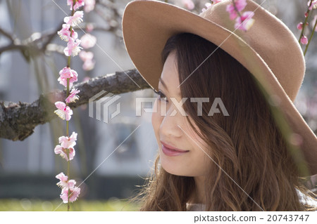 女性和梅花 20743747