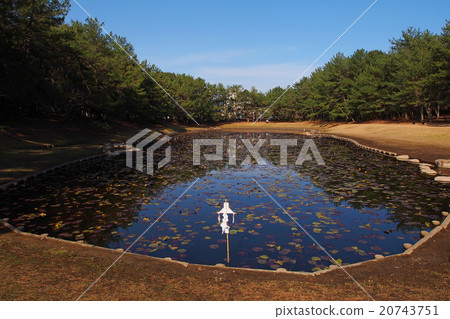 Misogi Pond: Places where it is said that Izanagi Nomikoto appearing in Japanese myth has done 20743751