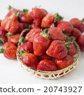 Platter of seasonal strawberries 20743927