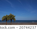 青島海岸，宮崎縣。藍色的大海，天空和熱帶樹木。 20744237