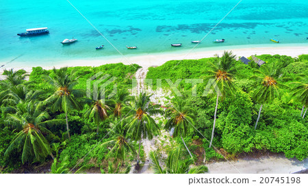 Shoreline of a tropical island in the Maldives Shoreline of a tropical island in the Maldives 20745198