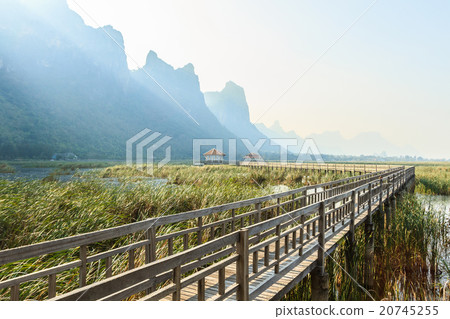 Wooden Bridge in lotus lake at Khao sam roi yod.  20745255