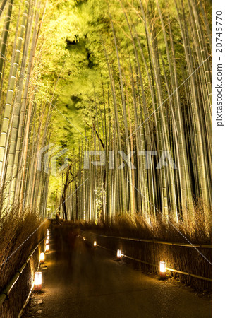 竹林 - 嵐山花光路 竹林 - 嵐山花光路 20745770
