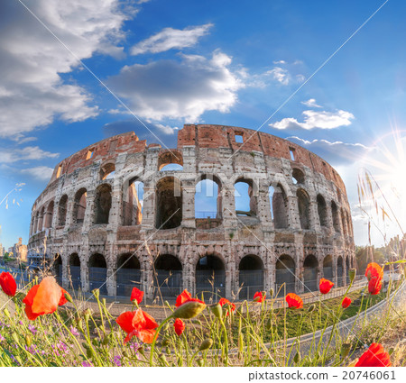 Colosseum with spring flowers in Rome, Italy 20746061