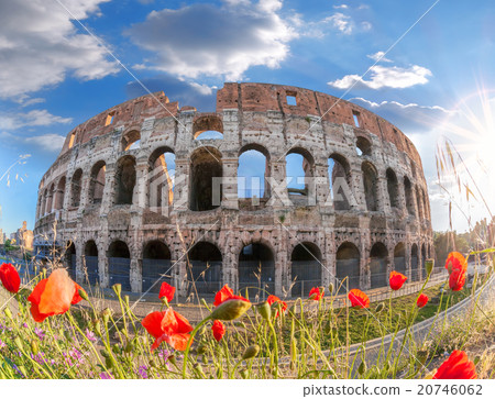 Colosseum with spring flowers in Rome, Italy Colosseum with spring flowers in Rome, Italy 20746062