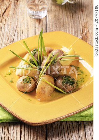 Vegetarian appetizer Vegetarian appetizer 20747186