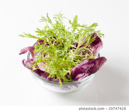 Radicchio and frisee Radicchio and frisee 20747428