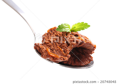 Chocolate ice cream Chocolate ice cream 20748048