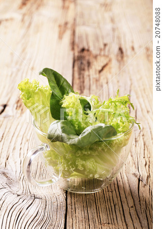 Fresh leaf vegetables 20748088