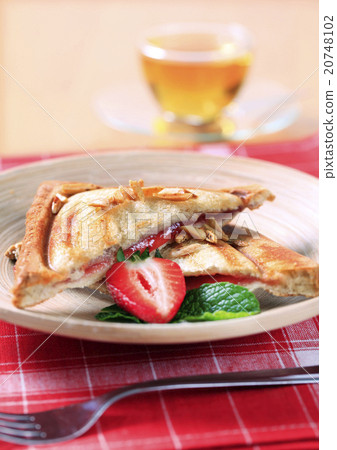 Toasted sandwich 20748102