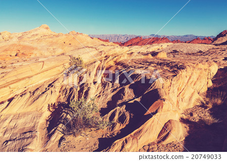 Valley of Fire Valley of Fire 20749033