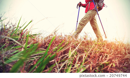 young woman hiker hiking on seaside trail 20749744