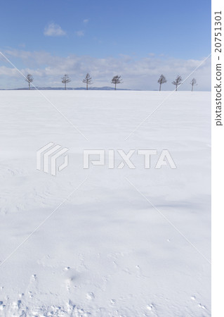 Snow Hill Snow Hill 20751301