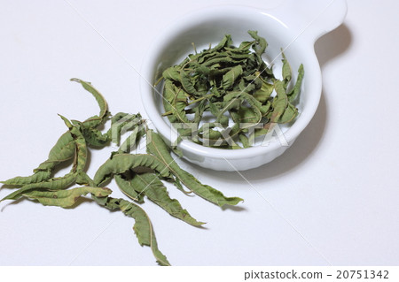 Lemon verbena 20751342