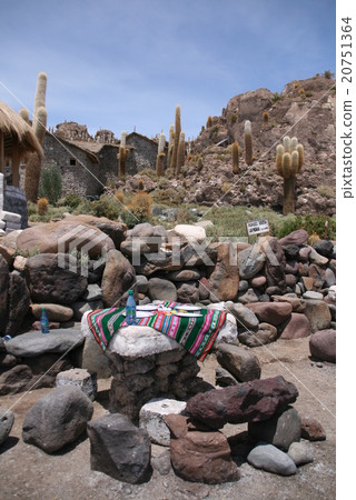 在仙人掌島享用午餐 在仙人掌島享用午餐 20751364