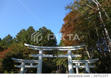 Oku Chichibu Sannomi Shrine Mitsu Torii Tororo Aozora 4 20751377
