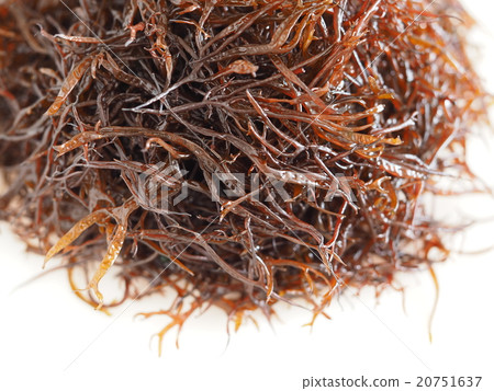 Raw furnace 20751637