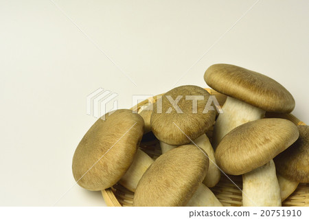 Honshimeji蘑菇 Honshimeji蘑菇 20751910
