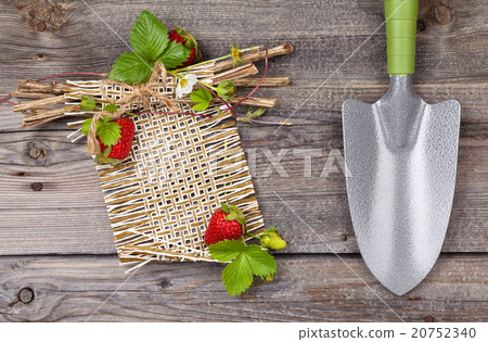 Border of fresh strawberries. 20752340