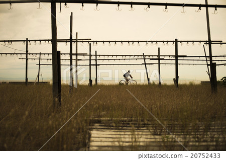 Scenery of fishing port 20752433