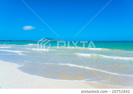 [夏威夷]瓦胡島凱魯瓦海灘 20752842