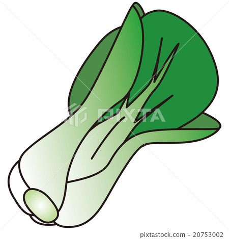 Vegetables 20753002