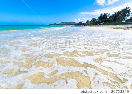 [夏威夷]瓦胡島凱魯瓦海灘 20753249